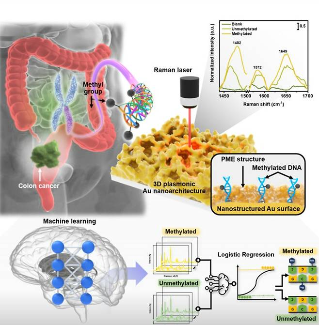 혈액 내 극미량 암 DNA 고감도 검출 및 인공지능 기반 분석 방법 개요도. 재료연구원 제공
