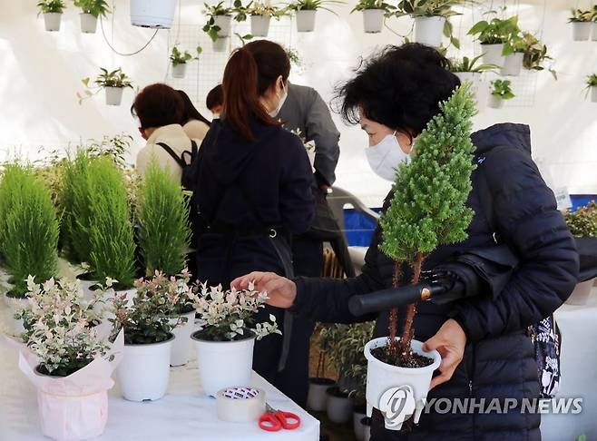 반려식물 살피는 관람객 [연합뉴스 자료사진]