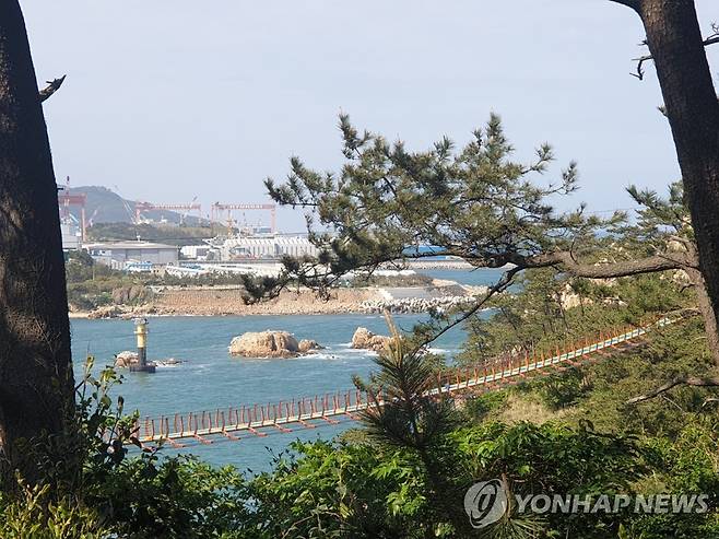 울산 대왕암공원 출렁다리 [연합뉴스 자료사진]