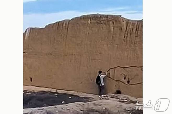 한 남성이 페루의 세계문화유산 찬찬 외벽에 남성 성기를 낙서하고 있다. 2025.5.14./뉴스1 (출처=엑스)