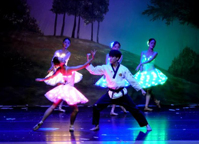 발레, 태권도, 국악, LED기술 등이 어우러진 아트포츠 '테디태권발레'의 한 장면. 비바츠아트 제공