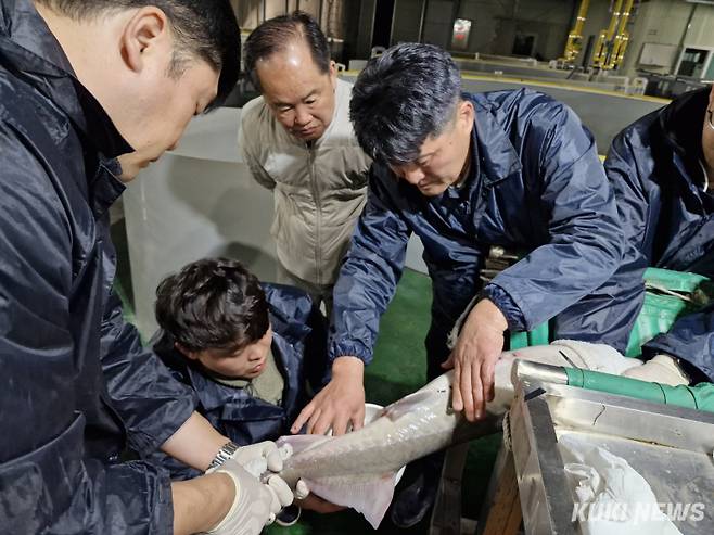 충남도 수산자원연구소 민물고기센터는 지난 2월부터 4월까지 70일간 철갑상어 양식을 희망하는 교육생을 대상으로 ‘현장 체류형 심화 기술 교육’을 진행하고 있다.