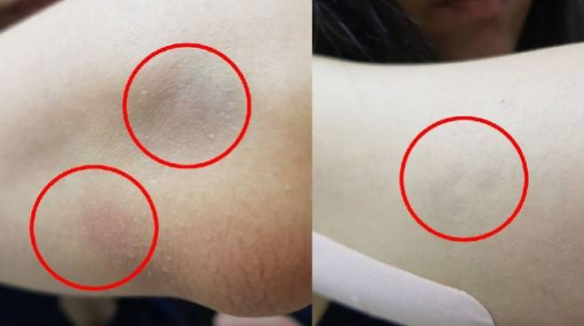 부산교사노조 제공