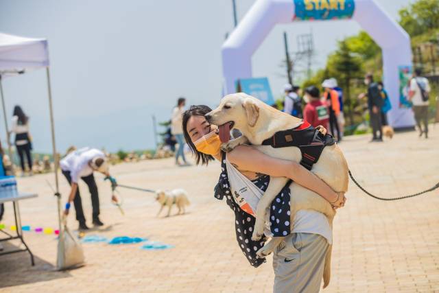 ⓒ하이원리조트