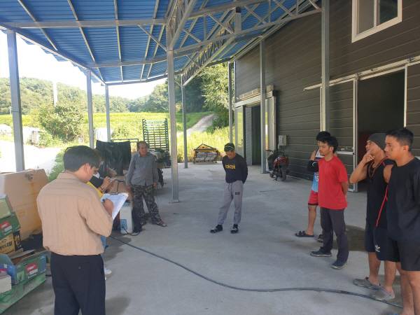 영주시가 6월13일까지 영농철 계절근로자 운영실태 집중점검을 실시한다.