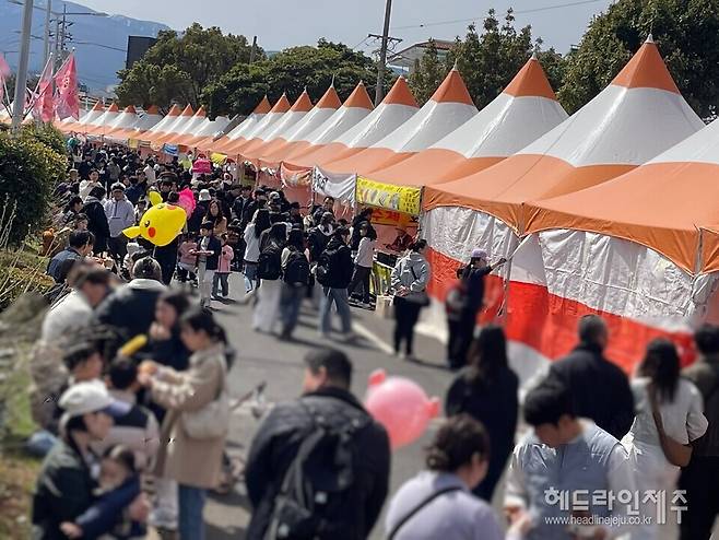 사진은 지난 3월30일 제주시 전농로 왕벚꽃축제장 전경. ⓒ헤드라인제주