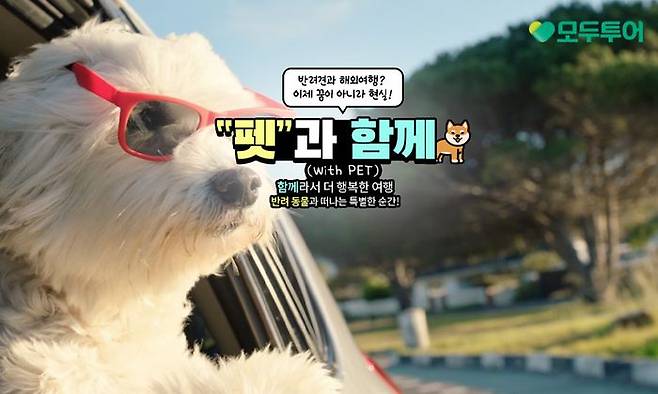 모두투어가 반려동물 동반 해외여행 문화 확산을 위해 '2025 메가주 일산' 반려동물 산업 박람회에 참가한다. ⓒ모두투어