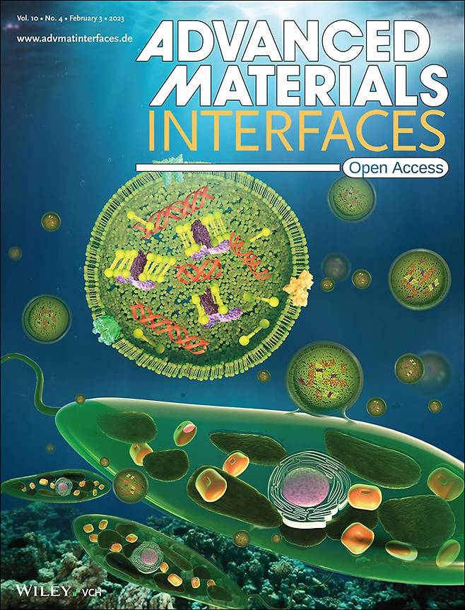 신세계인터내셔날 기술혁신센터 미세조류 유래 엑소좀 논문.