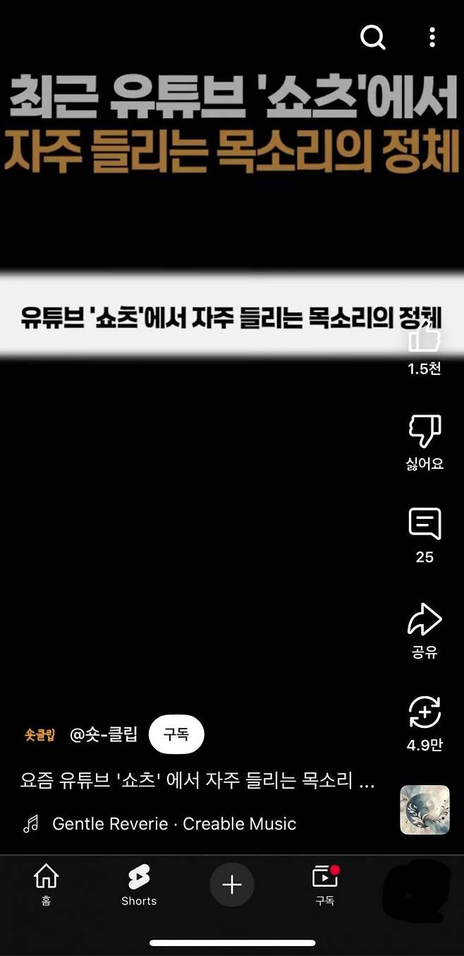 1747236880.jpg 유튜브 양산형 쇼츠 근황