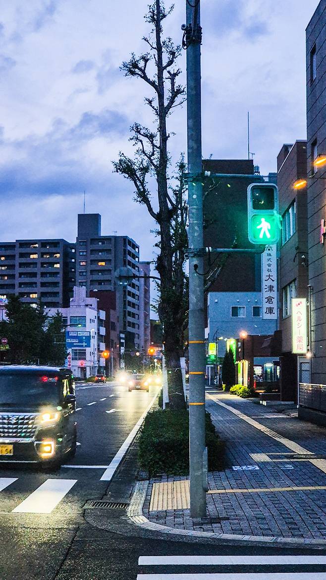 20240921_182459.jpg [일본여행] 가고시마