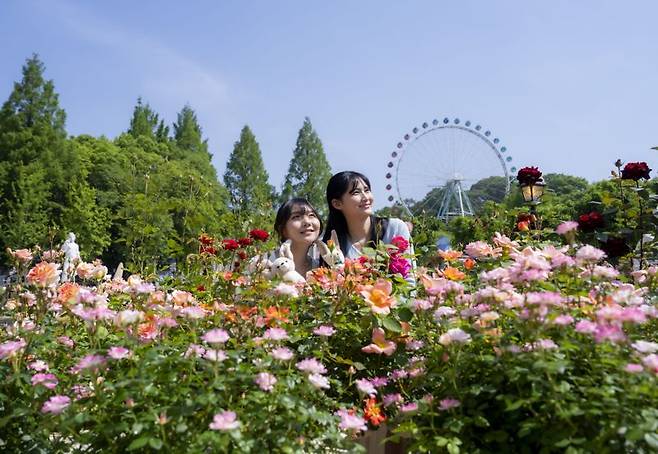 개막 40주년을 맞는 올해 축제는 '에버랜드 로로티'라는 이름으로 열린다. 에버랜드 제공