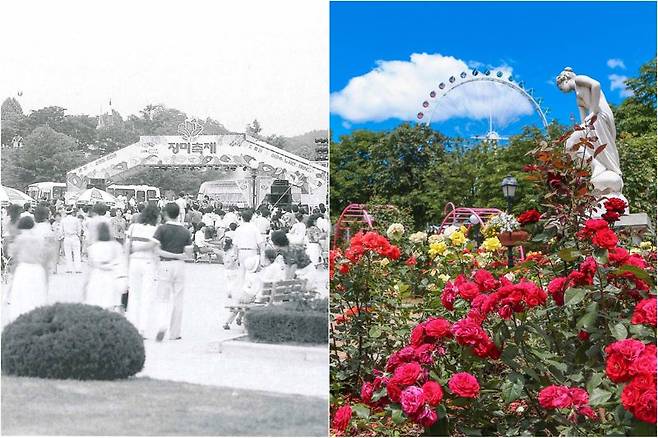 1985년 장미축제 개막 당시 모습(왼쪽 사진)과 40번째 축제가 열리는 로즈가든