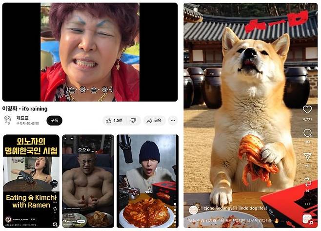 습김치 영상 캡쳐 모음. CJ제일제당 제공