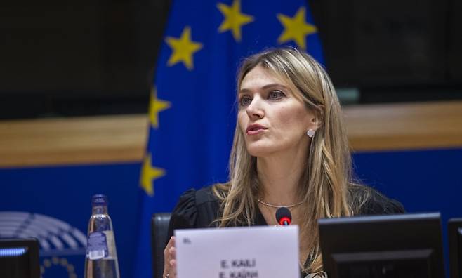 에바 카일리 전 유럽의회 부의장