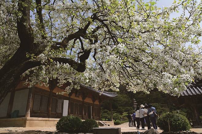 부석사 무량수전=사진 영주시