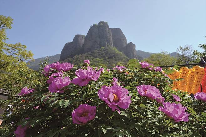대전사에서 바라본 주왕산=사진 청송군