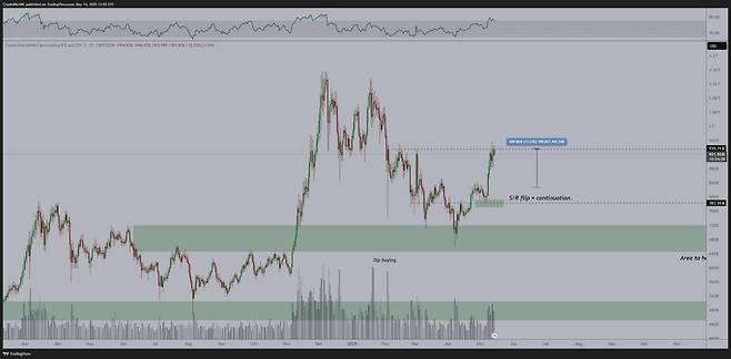 알트코인 시가총액은 지지·저항 전환(S/R 플립) 과정을 거친 후 9250억달러(약 1288조원)까지 증가했다. / 사진 = 마이클 반 데 포프 엑스 캡처