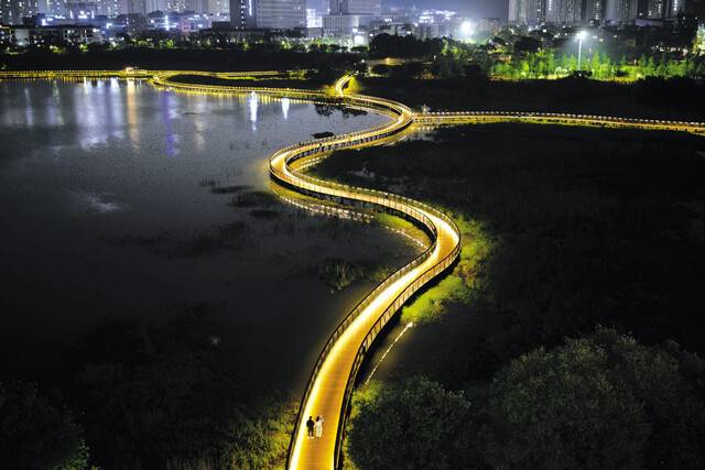 전북 전주 기지제 수변공원 S라인 산책로가 야간 조명을 받아 환상적으로 펼쳐져 있다. 산책로를 걸으며 호수와 습지에서 살아가는 여러 생물을 만날 수 있다.