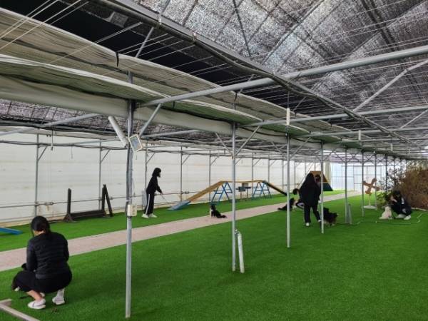 용인바이오고 제공