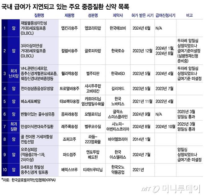 국내 급여가 지연되고 있는 주요 중증질환 신약 목록/그래픽=이지혜