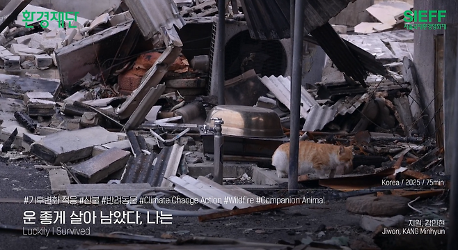 제22회 서울국제환경영화제 상영작 소개 영상 갈무리.[환경재단 제공]