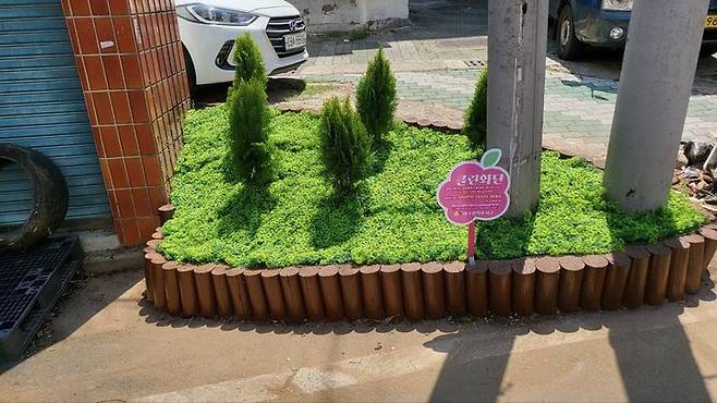 [대구=뉴시스] 대구 서구는 쓰레기 무단배출로 지저분한 주택가 9곳에 '클린화단'을 조성했다. (사진=대구 서구 제공) 2025.05.15. photo@newsis.com *재판매 및 DB 금지