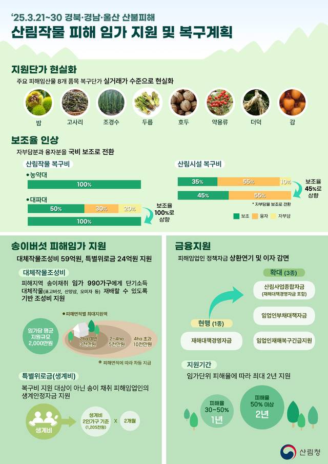 산림작물 피해임가 지원 및 복구계획 인포그래픽. 산림청