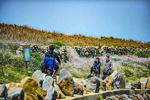 자전거 타고 둘러보기 좋은 가파도. 사실 걷는 게 더 좋다.