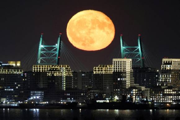 러시아 상트페테르부르크 다리 위 보름달 - 3년째 전쟁을 이어 가는 우크라이나와 러시아의 휴전 협상을 이틀 앞둔 13일(현지시간) 러시아 상트페테르부르크의 고속도로 다리 위로 커다란 보름달이 떠 있다. 볼로디미르 젤렌스키 우크라이나 대통령은 15일 튀르키예 이스탄불에서 열리는 평화 협상에 블라디미르 푸틴 러시아 대통령이 직접 참석할 것을 종용하고 있다. 중동 3개국을 순방 중인 도널드 트럼프 미국 대통령이 이 회담에 참여할 가능성도 거론된다. 상트페테르부르크 로이터 연합뉴스