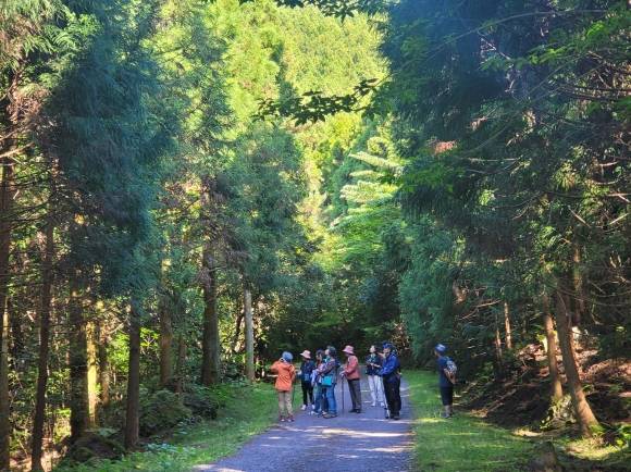 한남사려니오름숲 탐방객들. 산림청 국립산림과학원 난대·아열대산림연구소 제공