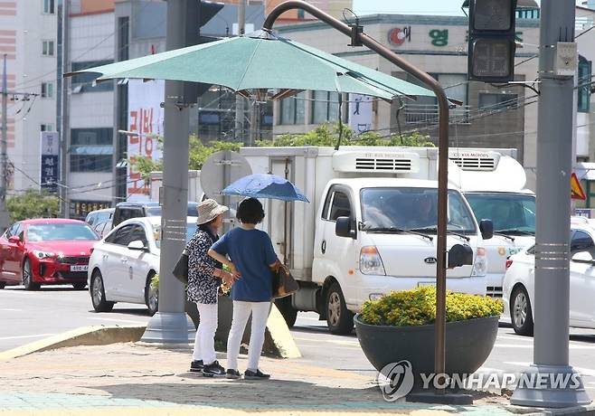 제주시 횡단보도 [연합뉴스 자료사진]