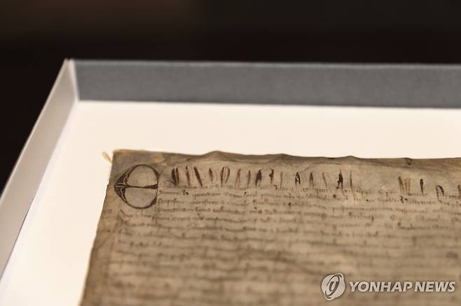 진품으로 드러난 하버드대 소장 마그나카르타 [AP=연합뉴스 자료사진. 재판매 및 DB 금지]