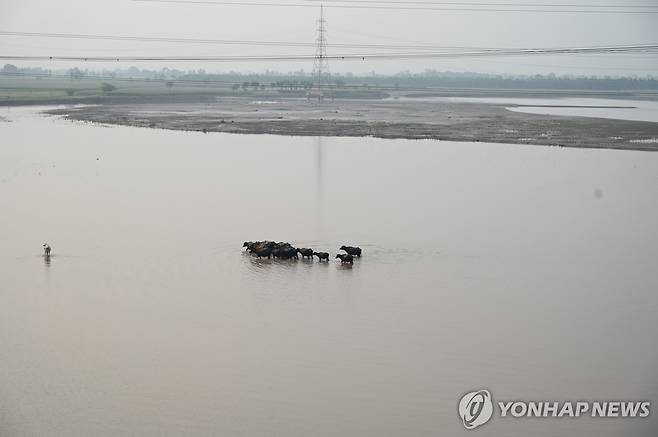 파키스탄 체나브강 파키스탄 펀자브주 치니오트를 흐르는 체나브강.
[EPA 연합뉴스 자료사진. 재판매 및 DB 금지]