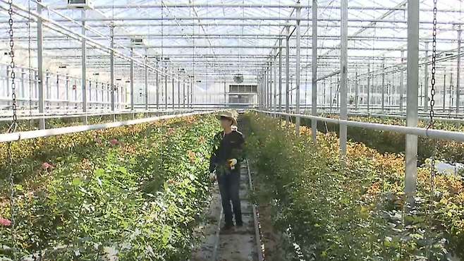 [전주MBC 자료사진]