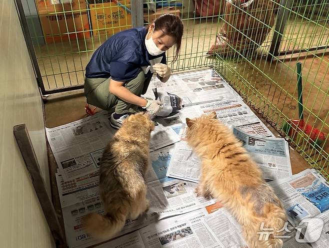 보호소 봉사 중인 이효리(내추럴발란스 제공) ⓒ 뉴스1