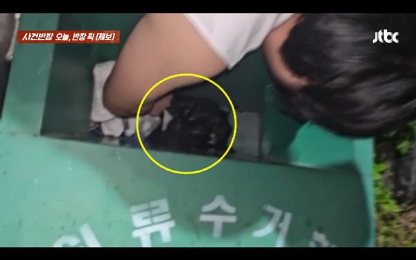 ⓒJTBC '사건반장'