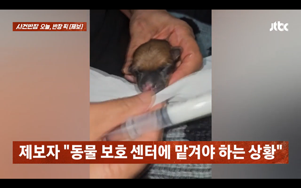 ⓒJTBC '사건반장'