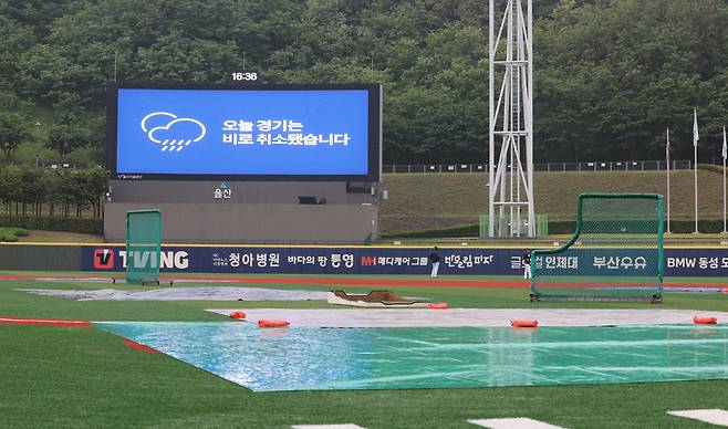 16일 프로야구 NC 다이노스의 임시 홈구장으로 사용되는 울산 문수야구장에서 열릴 예정이었던 NC와 키움 히어로즈의 경기가 비로 취소돼 전광판에 안내 문구가 나오고 있다. /연합뉴스