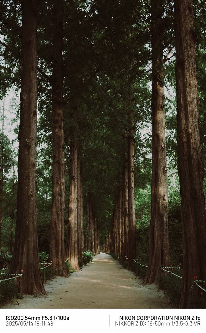 7cea8471b7866aff39e787e34e9c72731f1b5889109d0db28b949237ef3c52e21f