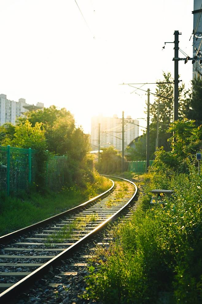 098ef319b58660fe20b5c6b236ef203ebf254224413b94672e