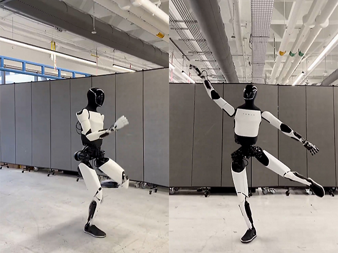 출처=엑스(Tesla_Optimus)