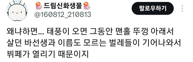 image.png 까마귀들이 맨홀뚜껑마다 모여있는 이유.jpg