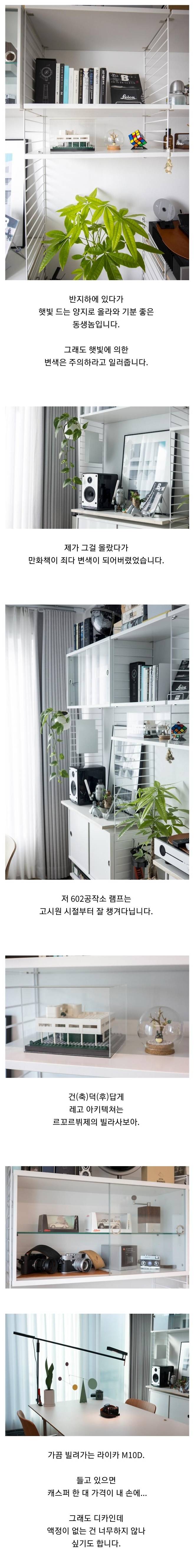 1689310842.jpg 동생 14평 집 리모델링 해준 사람 동생 14평 집 리모델링 해준 사람 .jpg