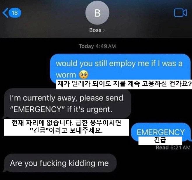 1000015069.jpg 새벽 4시에 직장상사에게 문자보내기