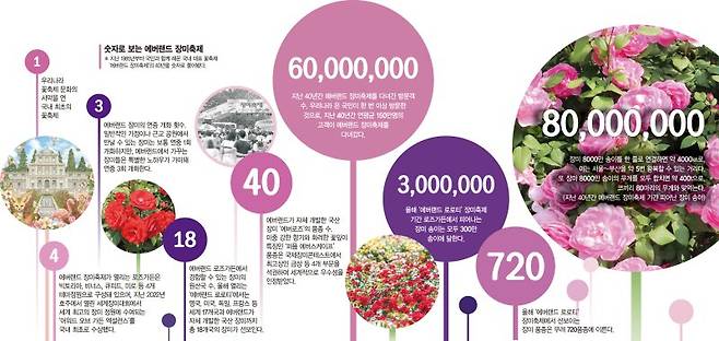 장미 정원 너머… 사막여우가 여는 환상의 문 [Wee