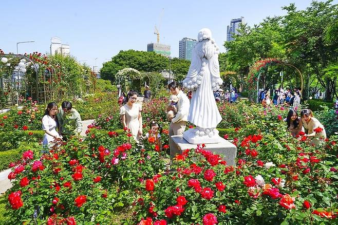 중랑구 장미축제에 방문한 시민들. 중랑구 제공