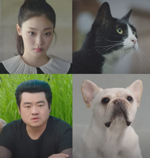 ‘천국보다 아름다운’에서 고양이 쏘냐를 연기한 배우 최희진과 유기견 짱구를 연기한 신민재.사진=JTBC