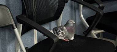 이재명 후보 캠프에 알을 낳고 사라진 비둘기. 캠프 제공