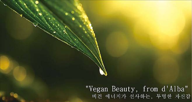 매경미디어그룹과 인공지능(AI) 영상 제작사 스튜디오프리윌루전이 함께 개최한 ‘AI 영상 광고·숏폼 공모전’이 성황리에 참가자 모집을 마쳤다. 위에서부터 예스24에 접수한 닉네임 ‘오주영’, 오아시스에 접수한 닉네임 ‘Dal+kom’, 달바글로벌에 접수한 닉네임 ‘이동현감독’의 작품 중 일부 화면. (AI-Kive 제공)