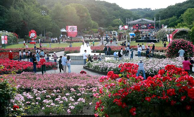 울산 장미축제가 21일부터 25일까지 울산대공원 장미원에서 열린다. 사진은 지난해 장미축제 모습 [울산시 제공]